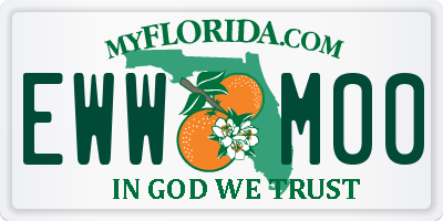 FL license plate EWWM00