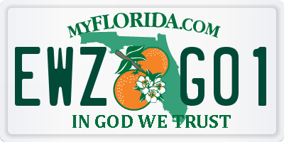 FL license plate EWZG01