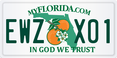FL license plate EWZX01
