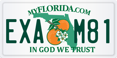 FL license plate EXAM81