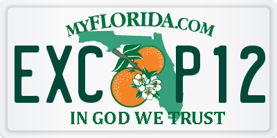 FL license plate EXCP12