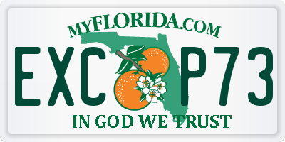 FL license plate EXCP73