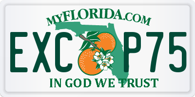 FL license plate EXCP75