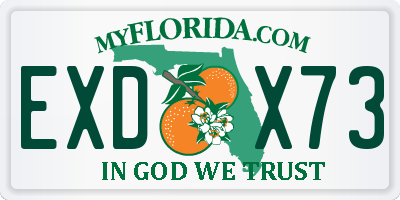 FL license plate EXDX73