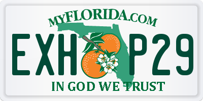FL license plate EXHP29