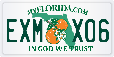 FL license plate EXMX06