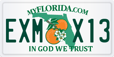 FL license plate EXMX13