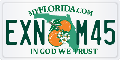 FL license plate EXNM45