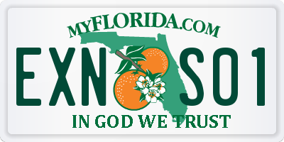 FL license plate EXNS01