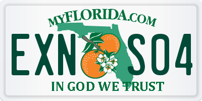 FL license plate EXNS04