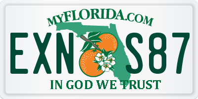FL license plate EXNS87