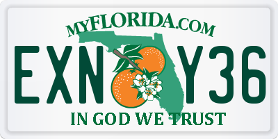 FL license plate EXNY36