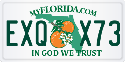 FL license plate EXQX73