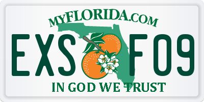 FL license plate EXSF09