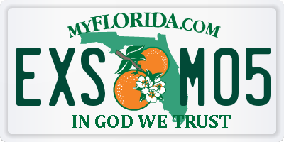 FL license plate EXSM05