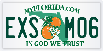 FL license plate EXSM06