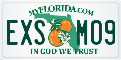 FL license plate EXSM09