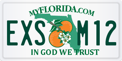 FL license plate EXSM12