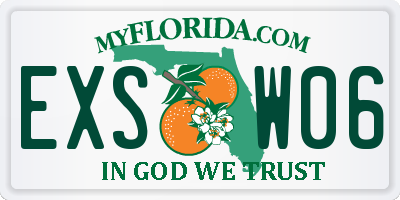 FL license plate EXSW06