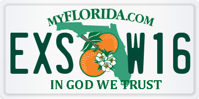 FL license plate EXSW16