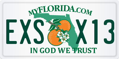 FL license plate EXSX13