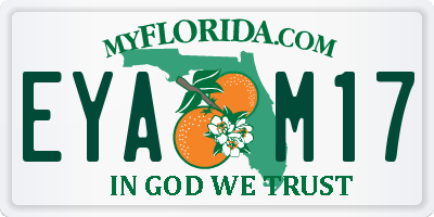 FL license plate EYAM17