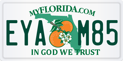 FL license plate EYAM85