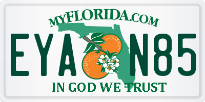 FL license plate EYAN85