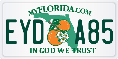FL license plate EYDA85