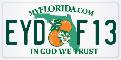FL license plate EYDF13