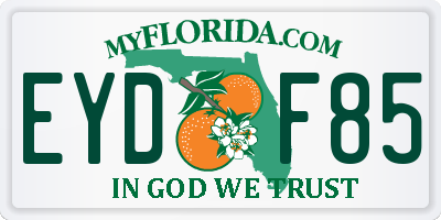FL license plate EYDF85