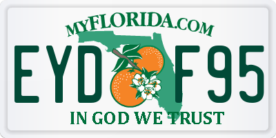 FL license plate EYDF95