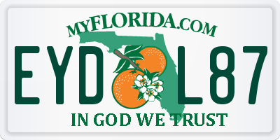 FL license plate EYDL87