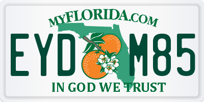 FL license plate EYDM85