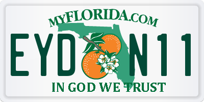 FL license plate EYDN11