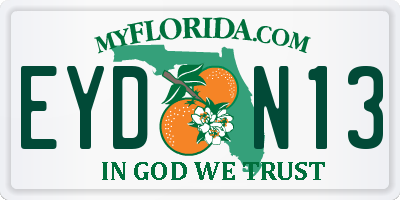 FL license plate EYDN13