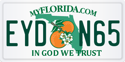 FL license plate EYDN65