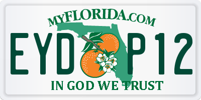 FL license plate EYDP12