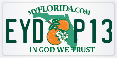 FL license plate EYDP13