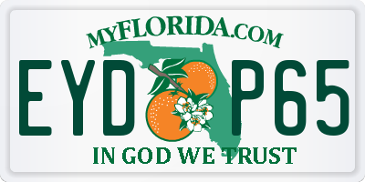 FL license plate EYDP65