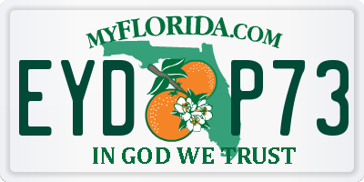 FL license plate EYDP73