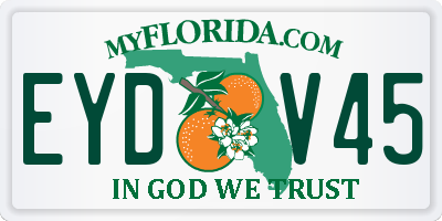 FL license plate EYDV45