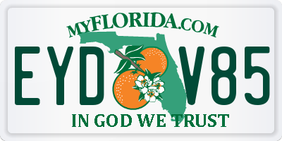FL license plate EYDV85