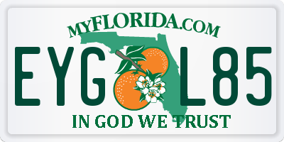 FL license plate EYGL85