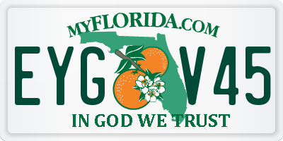 FL license plate EYGV45