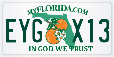 FL license plate EYGX13