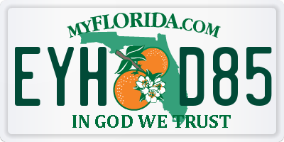 FL license plate EYHD85