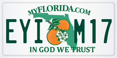 FL license plate EYIM17