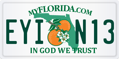 FL license plate EYIN13