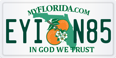 FL license plate EYIN85